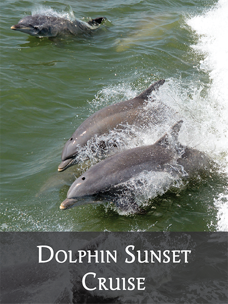 Outer Banks Dolphin Sunset Cruise Outer Banks Sunset Cruise